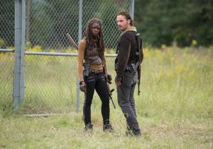 The Walking Dead Rick Michonne