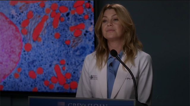 Grey's Anatomy - Meredith Grey 2