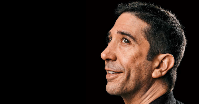 David Schwimmer