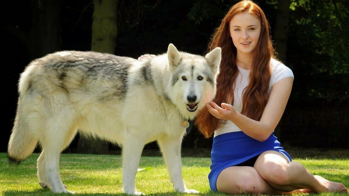 Sophie Turner 1200x675