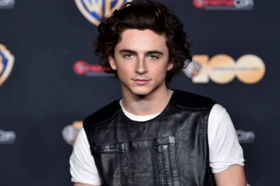 Nella foto l'attore Timothée Chalamet