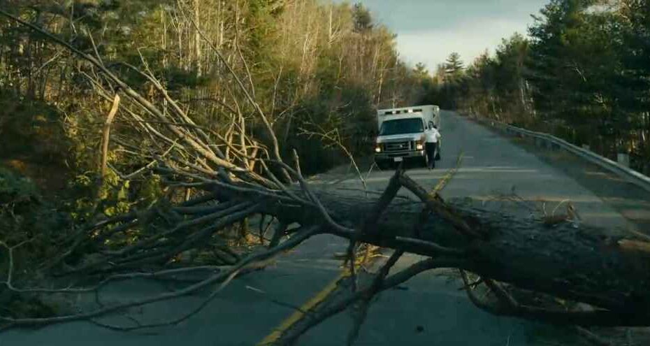 L'albero magico che caratterizza From 3, ricomparso nel terzo episodio