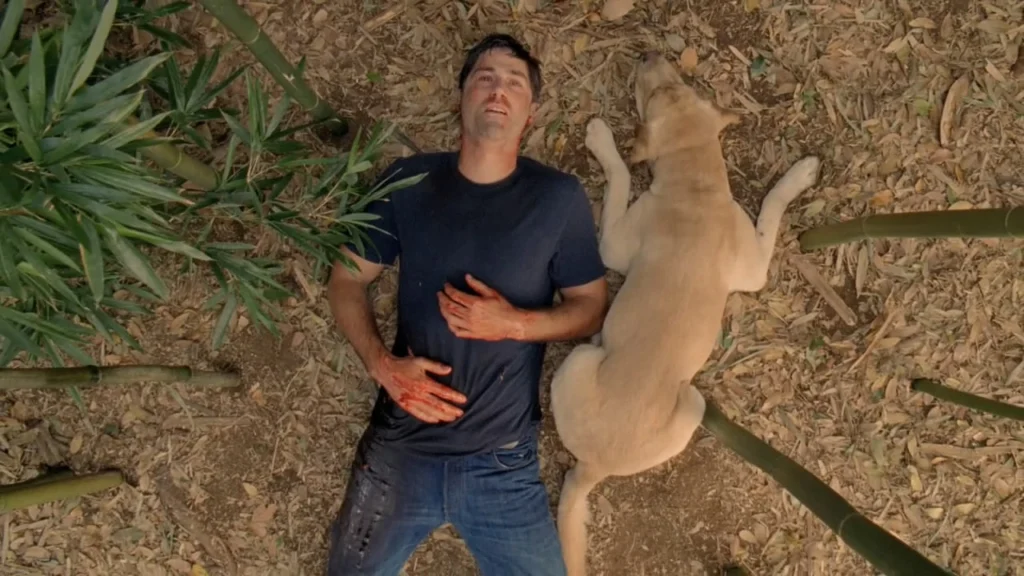 Un'immagine del finale di Lost