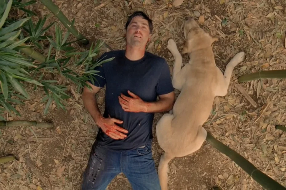 Un'immagine del finale di Lost