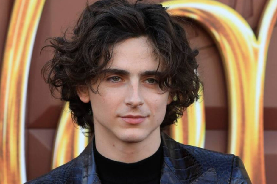 Timothée Chalamet è un emblema del fenomeno della iPhone Face